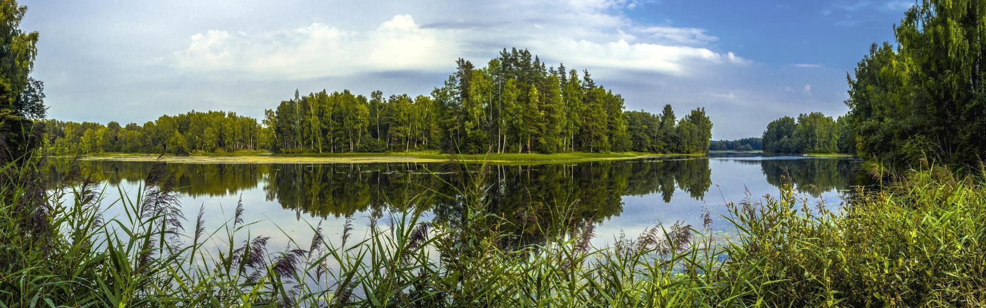 Jezioro i roślinność